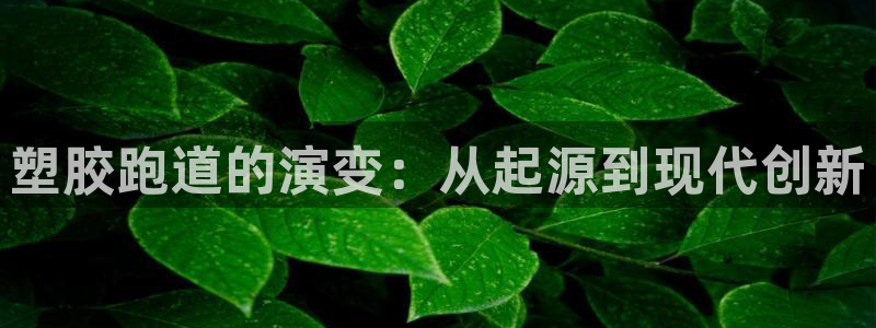 谈球吧怎么充值：塑胶跑道的演变：从起源到现代创新
