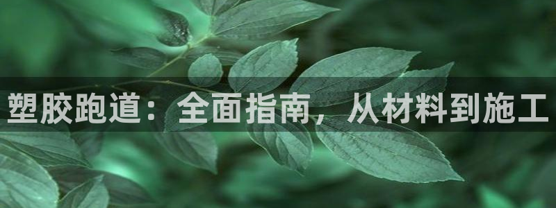 谈球吧体育app下载中心官网