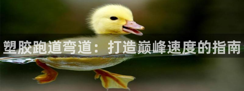谈球吧体育app登陆入口：塑胶跑道弯道：打造巅峰速度