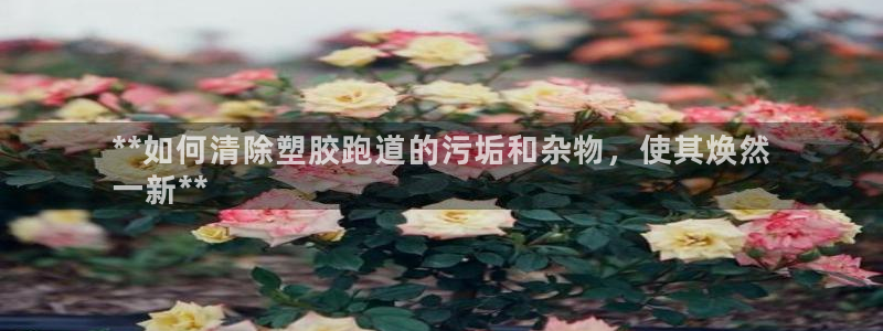 谈球吧体育综合：**如何清除塑胶跑道的污垢和杂物，使