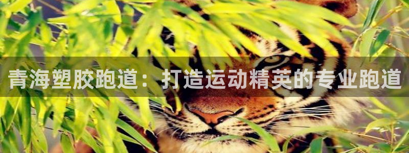 谈球吧怎么样：青海塑胶跑道：打造运动精英的专业跑道