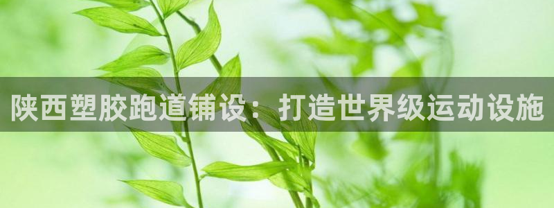 谈球吧app下载ios：陕西塑胶跑道铺设：打造世界级
