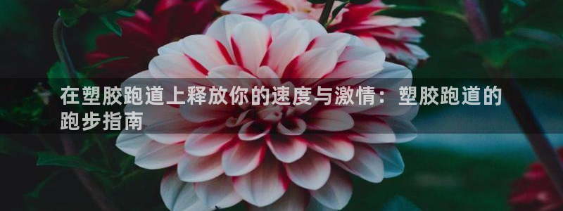 谈球吧体育官方入口：在塑胶跑道上释放你的速度与激情：塑胶跑道的
跑步指南