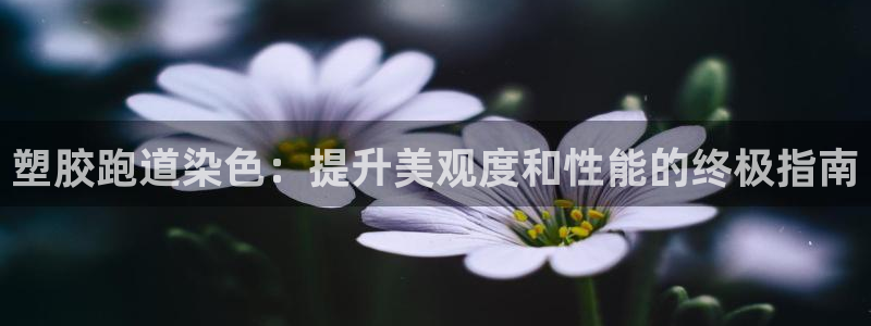 谈球吧中国官方网站
