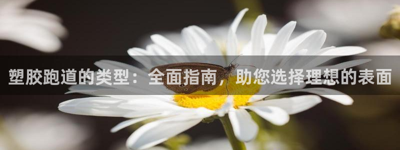 谈球吧官网在线入口免费观看视频下载：塑胶跑道的类型：