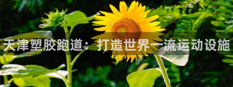 谈球吧app体育下载