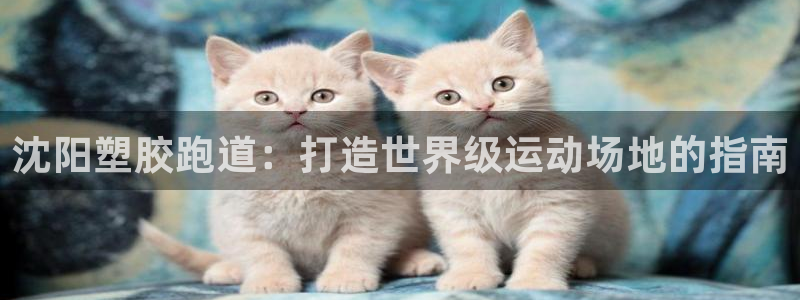 谈球吧属于哪个：沈阳塑胶跑道：打造世界级运动场地的指南
