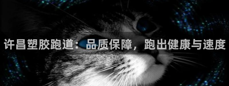 谈球吧出款怎样?：许昌塑胶跑道：品质保障，跑出健康与