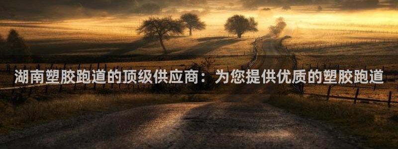 谈球吧在线：湖南塑胶跑道的顶级供应商：为您提供优质的塑胶跑道
