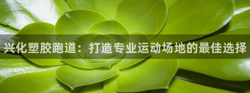谈球吧靠谱吗