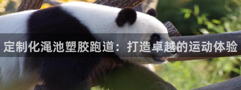 谈球吧买球是正规的吗：定制化渑池塑胶跑道：打造卓越的运动体验