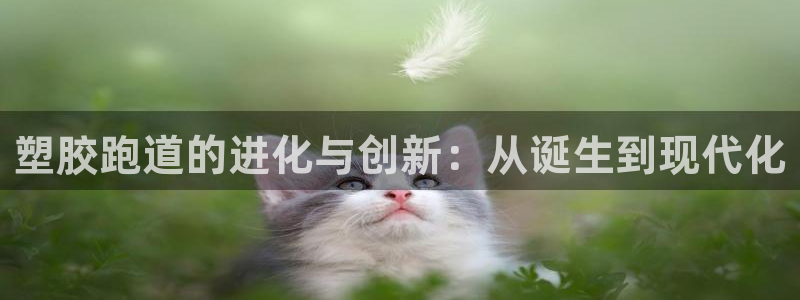 谈球吧红包激活码：塑胶跑道的进化与创新：从诞生到现代