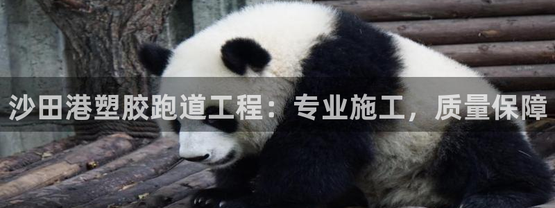 谈球吧官网在线入口免费观看：沙田港塑胶跑道工程：专业施工，质量保障