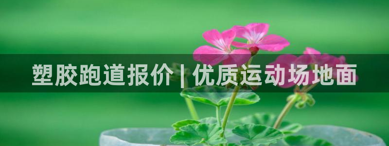 谈球吧官网在线入口免费观看视频网站：塑胶跑道报价 | 优质运动场地面