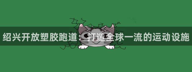 谈球吧(中国)官方网站：绍兴开放塑胶跑道：打造全球一流的运动设施