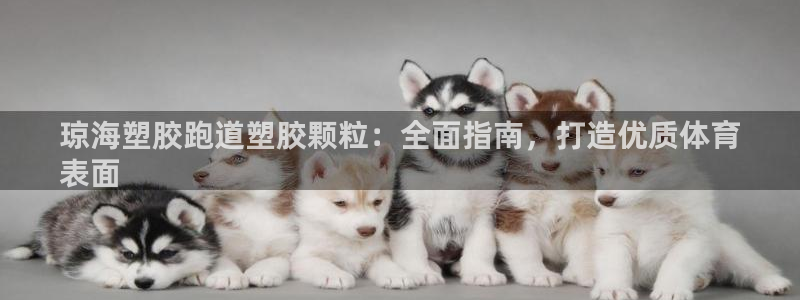 谈球吧账号有人收吗：琼海塑胶跑道塑胶颗粒：全面指南，