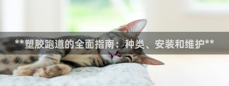 谈球吧的聊天软件有哪些：**塑胶跑道的全面指南：种类、安装和维护**