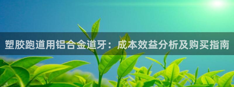 谈球吧体育app下载官网：塑胶跑道用铝合金道牙：成本效益分析及购买指南