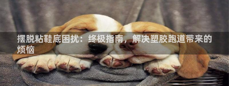 谈球吧官方网站：摆脱粘鞋底困扰：终极指南，解决塑胶跑
