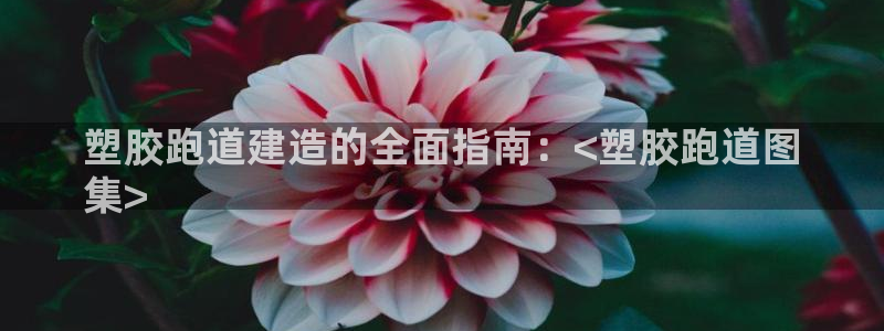谈球吧体育app下载足球比赛直播：塑胶跑道建造的全面