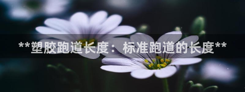 谈球吧网页版：**塑胶跑道长度：标准跑道的长度**