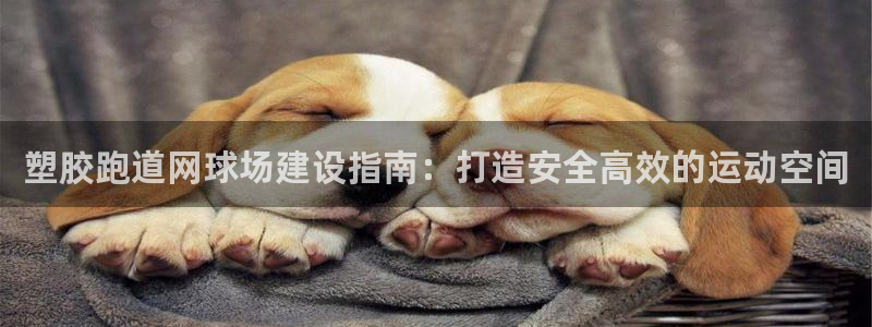 谈球吧官网在线入口手机版下载苹果：塑胶跑道网球场建设