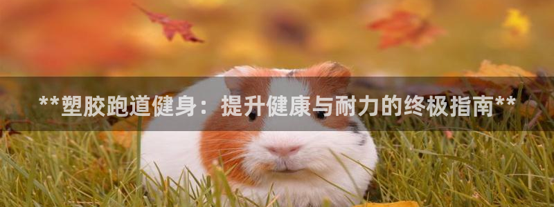 谈球吧怎么样：**塑胶跑道健身：提升健康与耐力的终极
