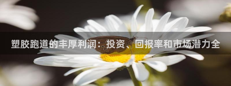 谈球吧是黑台子吗还是白台：塑胶跑道的丰厚利润：投资、回报率和市场潜力全
