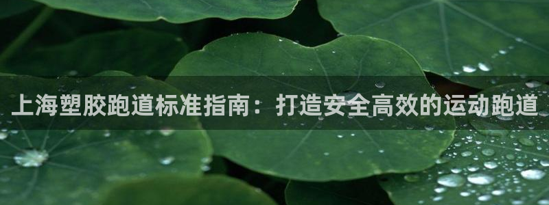 谈球吧全站app下载：上海塑胶跑道标准指南：打造安全