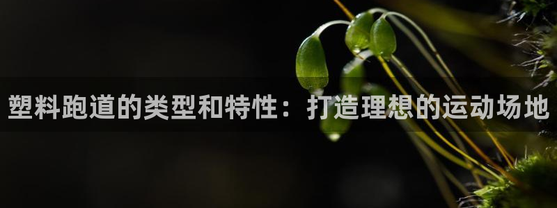 谈球吧体育：塑料跑道的类型和特性：打造理想的运动场地