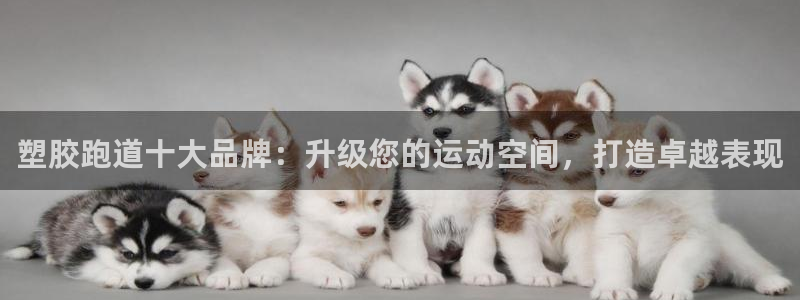 谈球吧nba：塑胶跑道十大品牌：升级您的运动空间，打造卓越表现