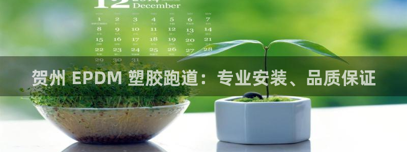 谈球吧体育app登陆不上：贺州 EPDM 塑胶跑道：