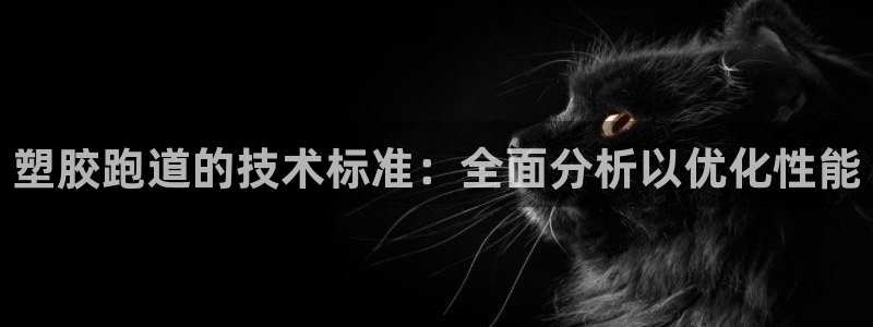 谈球吧的聊天软件下载：塑胶跑道的技术标准：全面分析以优化性能