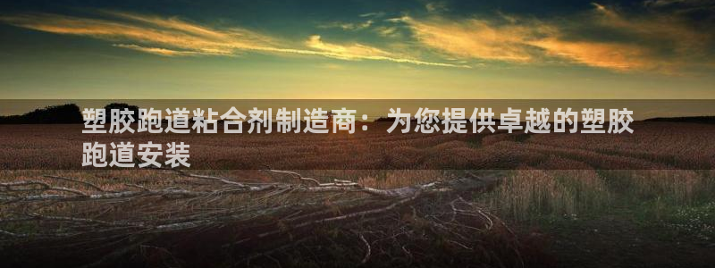 谈球吧体育官网在线入口：塑胶跑道粘合剂制造商：为您提