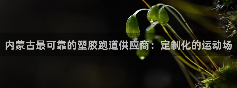 谈球吧首页：内蒙古最可靠的塑胶跑道供应商：定制化的运