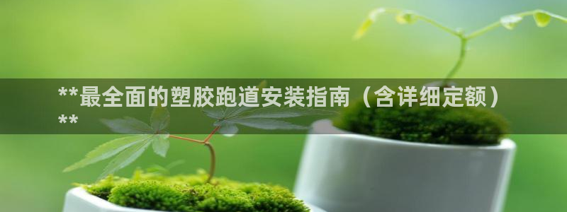 谈球吧体育app登陆不了：**最全面的塑胶跑道安装指南（含详