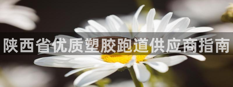 谈球吧被黑不给提现：陕西省优质塑胶跑道供应商指南