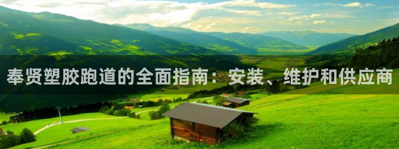 谈球吧娱乐app下载官网苹果手机：奉贤塑胶跑道的全面指南：安装、维护和供应商