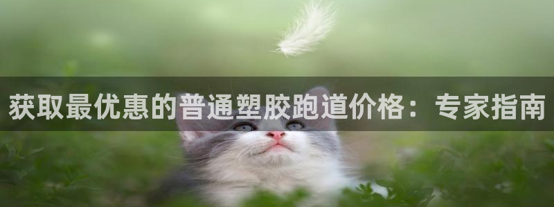谈球吧属于哪个旗下的品牌：获取最优惠的普通塑胶跑道价格：专家