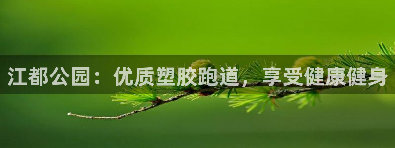 谈球吧属于哪个旗下：江都公园：优质塑胶跑道，享受健康健身