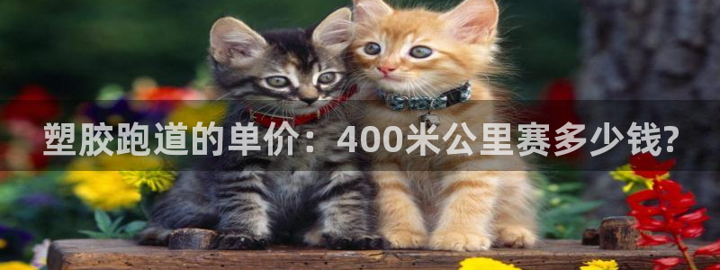 谈球吧体育app下载官网手机版