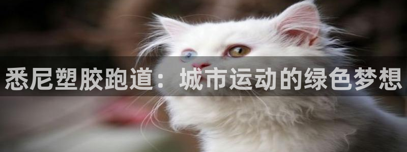 谈球吧是否诈骗