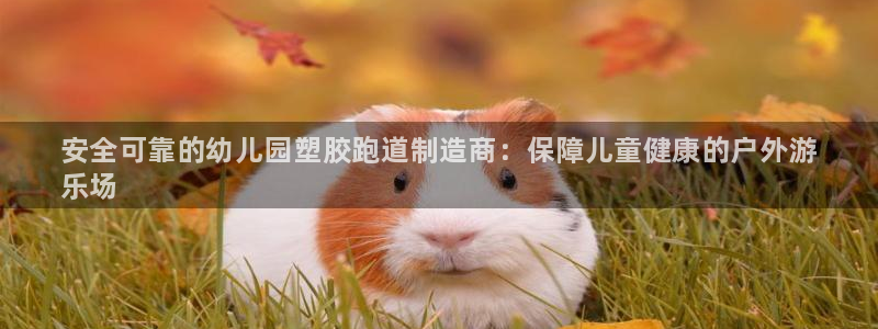 谈球吧平台正规吗可靠吗：安全可靠的幼儿园塑胶跑道制造商：保障儿童健康的户外游
乐场