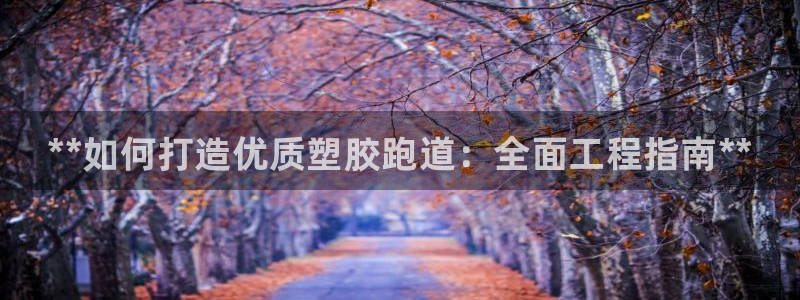 谈球吧全站app下载：**如何打造优质塑胶跑道：全面