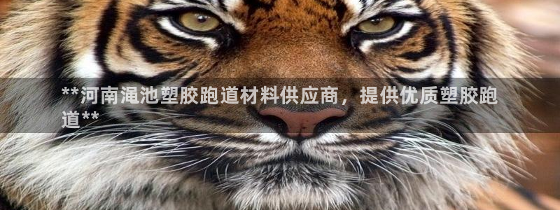 谈球吧买球靠谱吗：**河南渑池塑胶跑道材料供应商，提