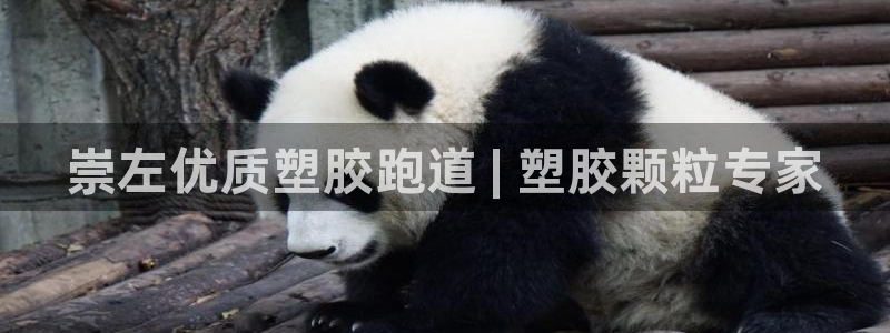 谈球吧在线观看：崇左优质塑胶跑道 | 塑胶颗粒专家