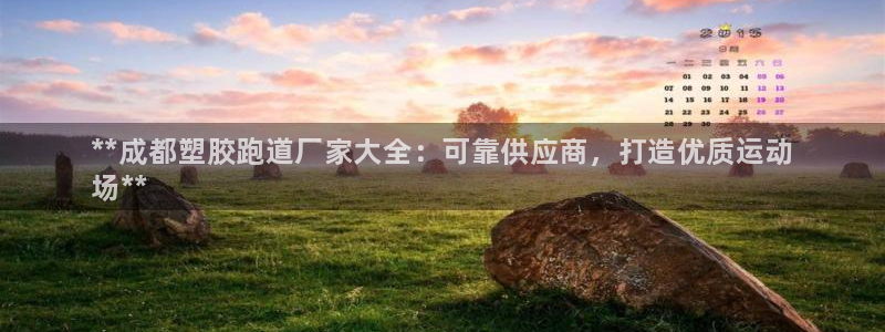 谈球吧APP：**成都塑胶跑道厂家大全：可靠供应商，打造优质