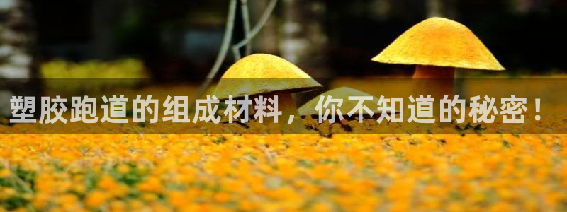 谈球吧体育app下载官网苹果版