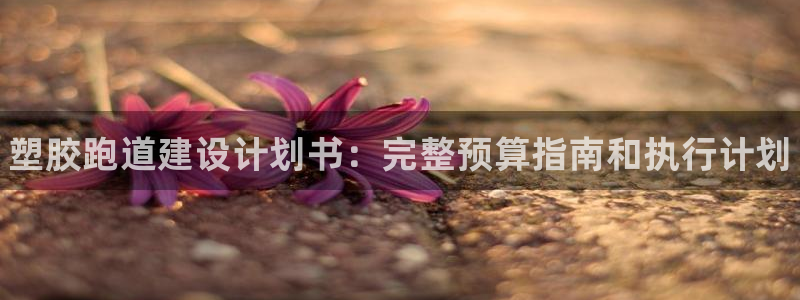 谈球吧体育app下载足球比赛视频：塑胶跑道建设计划书：完整预