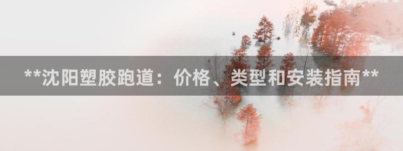 谈球吧体育app下载足球直播：**沈阳塑胶跑道：价格